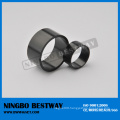 Black Epoxy Coated Neodymium Magnets